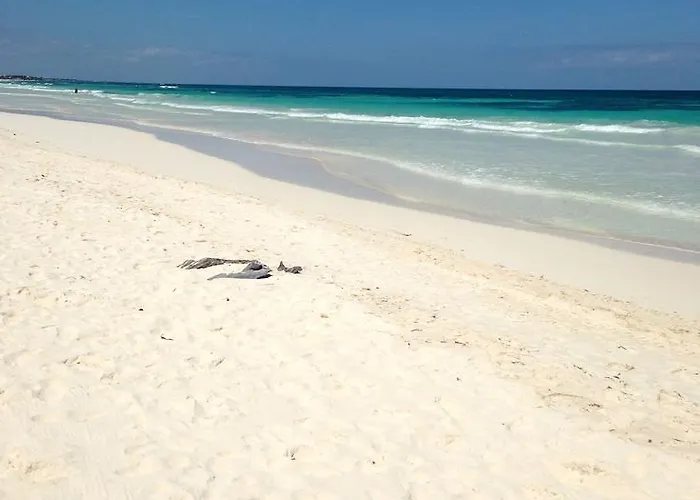 Hotel La Eufemia Tulum